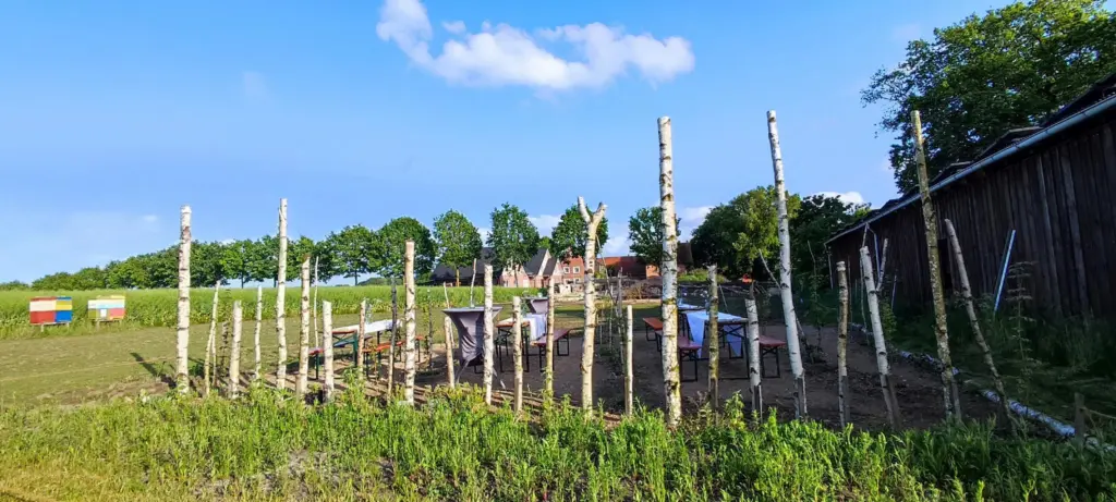 Baumhain_gedeckte Tische