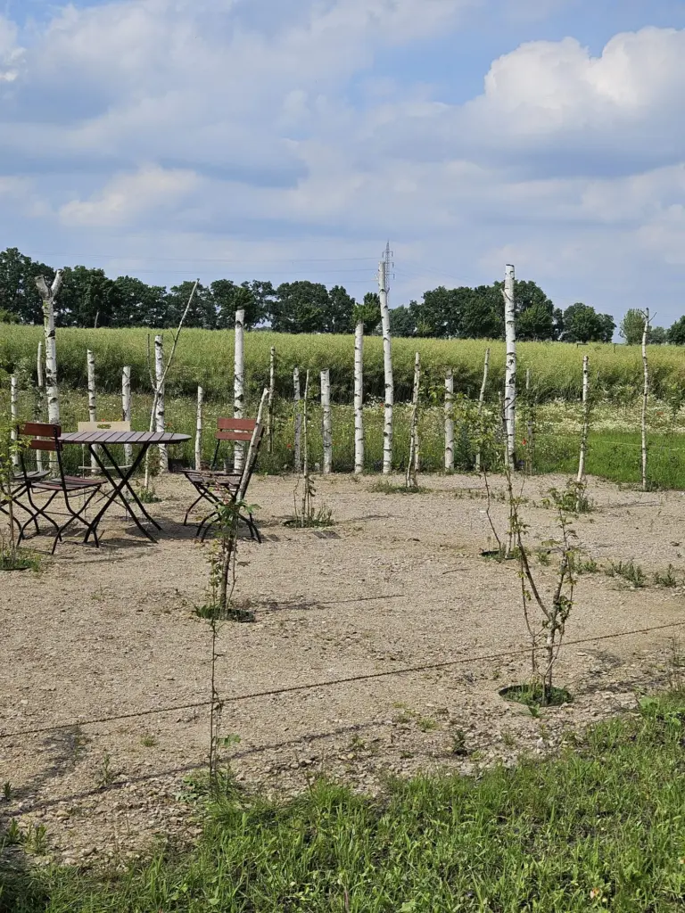 KuLaDu_Gelände_2026_06_17 (12)