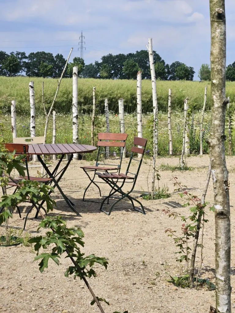 KuLaDu_Gelände_2026_06_17 (3)